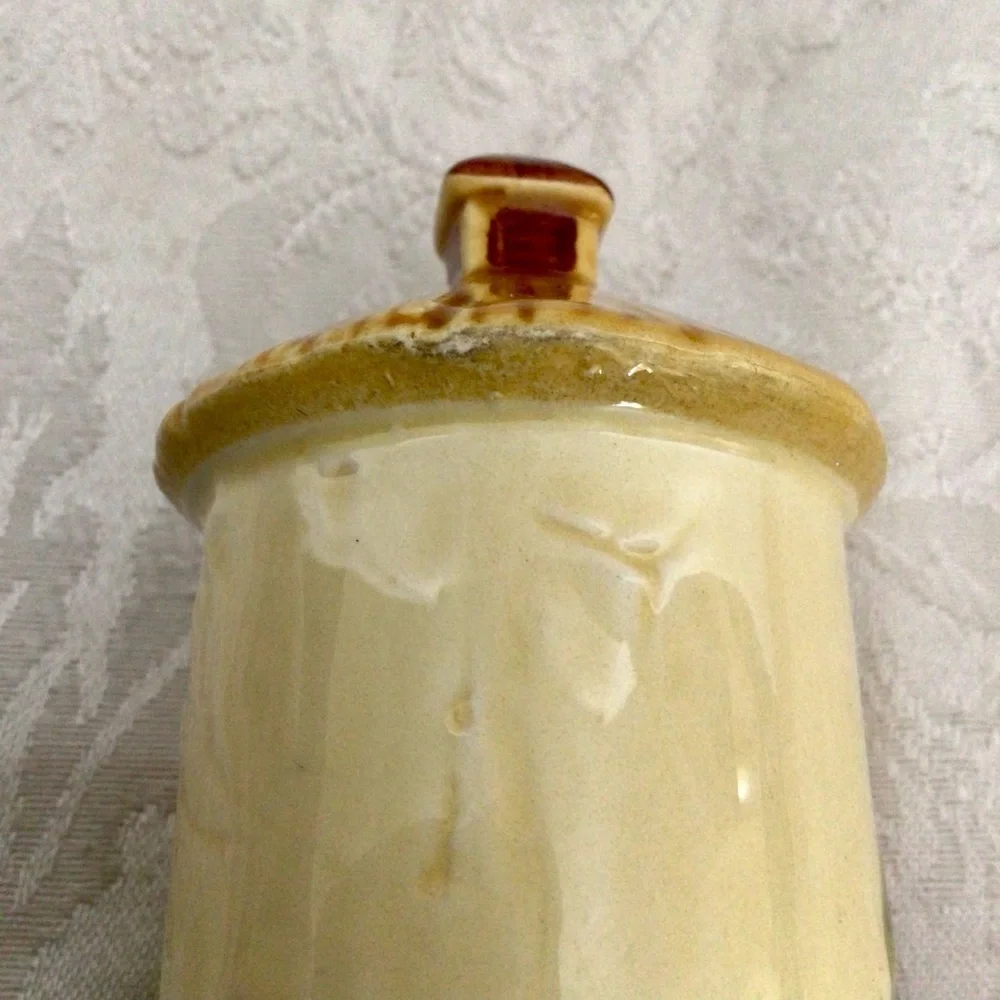 Vintage Ceramic Waterwheel Cottage Salt and Pepper Shaker Set Japan
